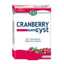 Cranberry Cyst