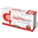 Gastro Ev